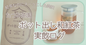 たつみ茶園ポット出し和紅茶実飲ログ